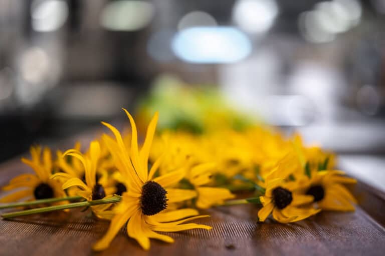 Blumenstrauß mit leuchtend gelben Blüten, perfekt für Frühlingsdeko oder Gartengestaltung, naturverbunden & farbenfroh.