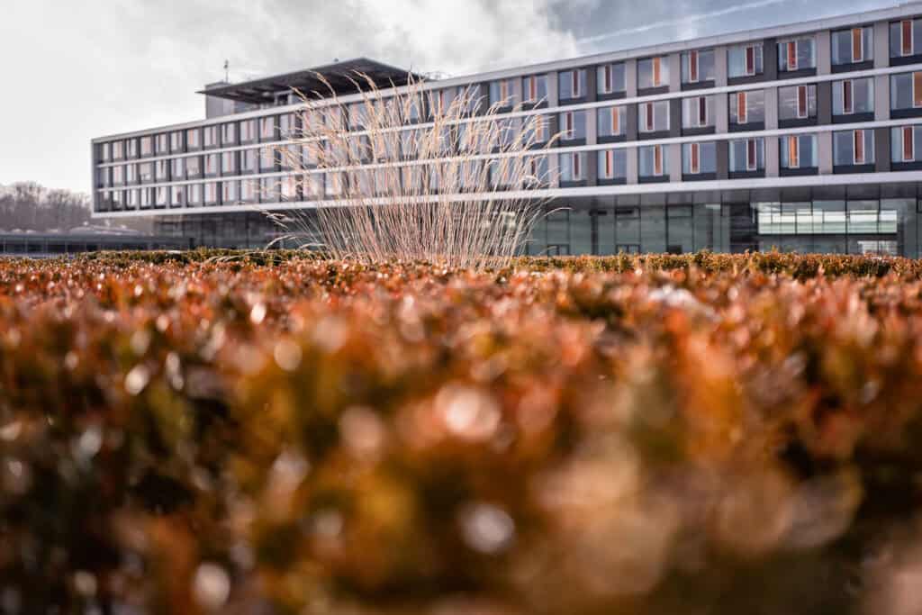 Moderne Architektur vor Firmengebäude in urbanem Umfeld, kreative Baukunst, zeitgenössisches Design.